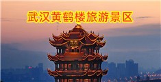 免费看真人操逼