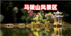 西欧大鸡已操大屁